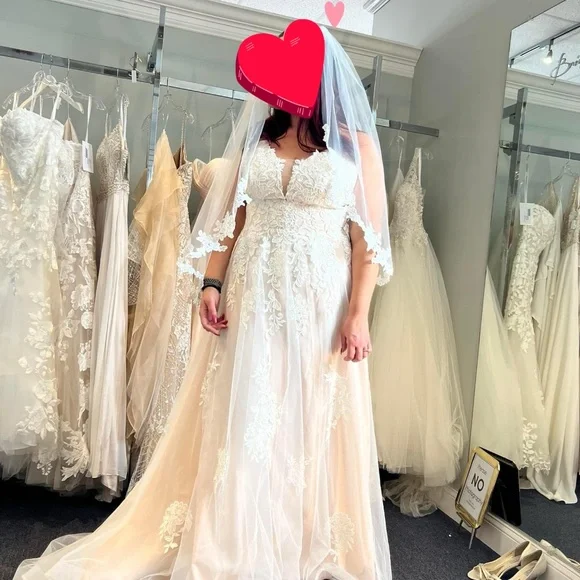 DaVinci | Dresses | Never Worn Gorgeous Blush Wedding Dress | Poshmark